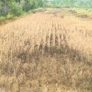 Meet your Posher, Bryant